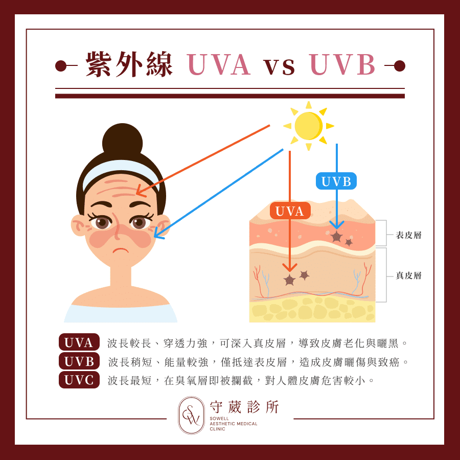紫外線 UVA vs UVB